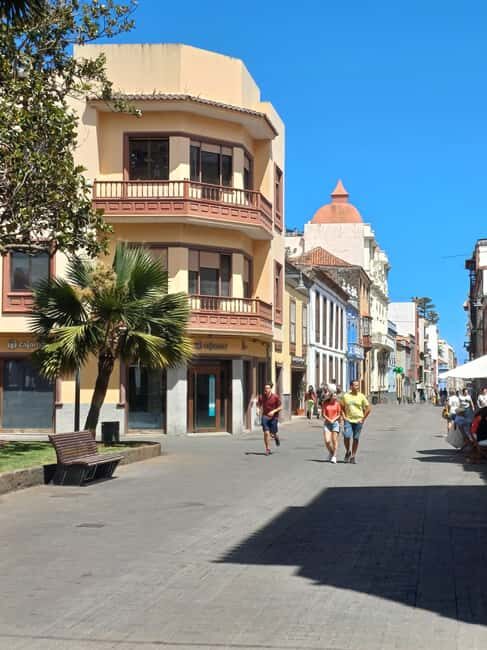 Private Tour Tenerife: Anaga, Taganana, Benijo & La laguna - Good To Know