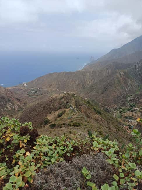 Private Tour Tenerife: Anaga, Taganana, Benijo & La laguna - Authentic Charm of Taganana Village