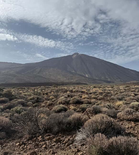 Private tour Tenerife: Teide National Park + Restaurant - Good To Know