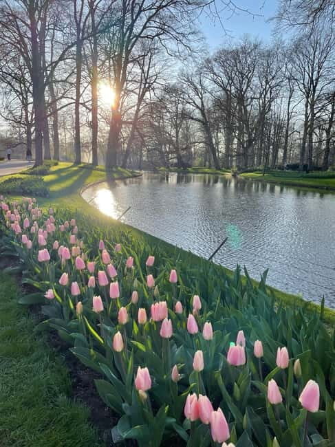 Private Tour, Tesla from Amsterdam: Keukenhof & Tulip Fields - Who Is This Tour Best For?