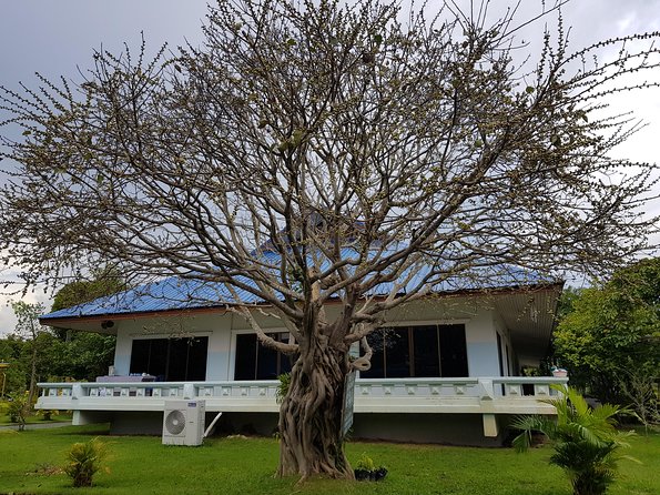 Private Tour: Thai Culture& Experience With Buddhism - End Point and Pickup Details