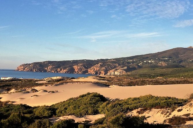 Private Tour - the Beautiful Cascais - Customer Reviews