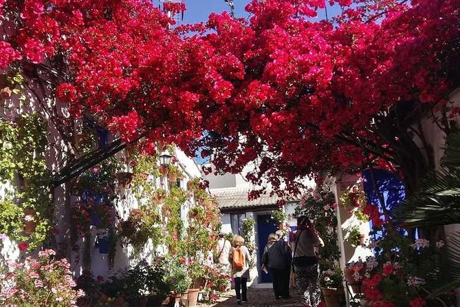 Private Tour: the Courtyards of Cordoba - Tour Overview
