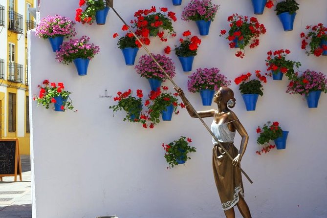 Private Tour: the Courtyards of Cordoba - Guide and Logistics