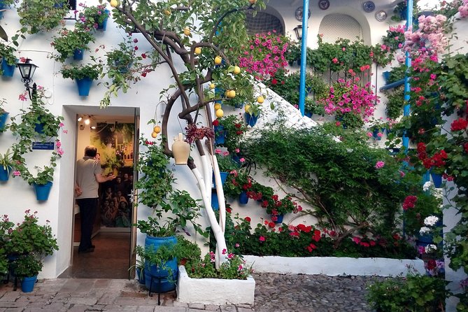 Private Tour: the Courtyards of Cordoba - Meeting Point and End Point