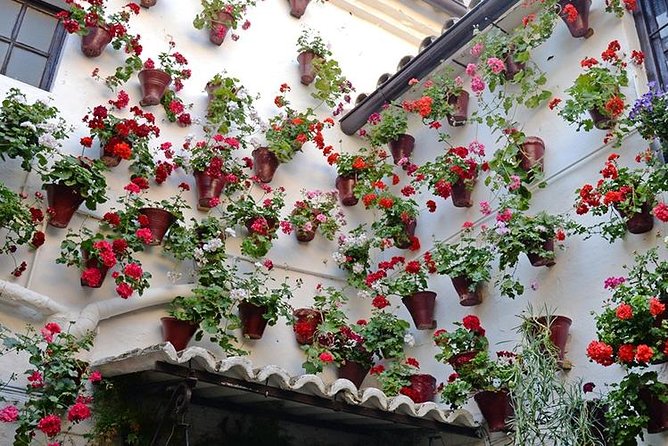 Private Tour: the Courtyards of Cordoba - Cancellation Policy