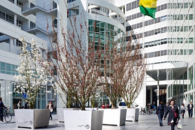 Private Tour: The Hague Walking Tour Including Peace Palace Visitors Center - Common Questions