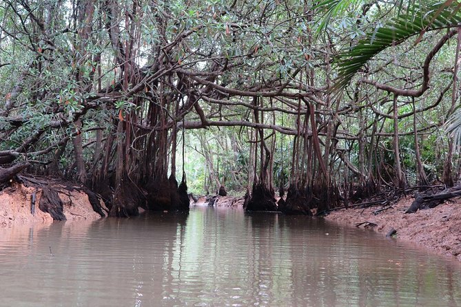 Private Tour: The Lost Zone Amazon & Old Town - Takuapa, Khao Lak - Tour Details