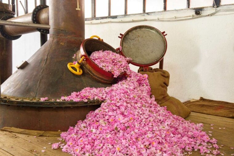Private Tour: the Most Beautiful Medieval Villages, Full Day - Highlights of Grasse: The Perfume Capital