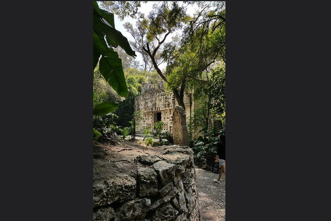 Private Tour: the must-see Museum of Anthropology - Authentic Insights from Reviews