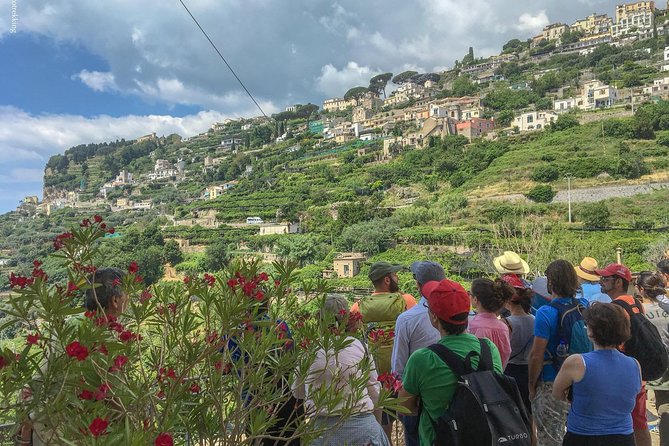Private Tour: The Path of the Lemons - The Sum Up