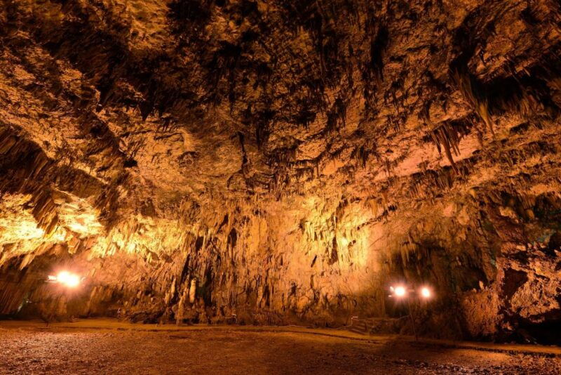 Private Tour: The Ultimate Kefalonia Experience - Final Thoughts