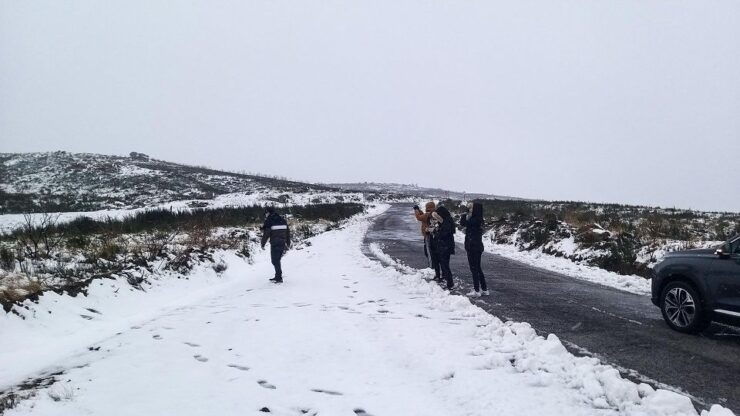 Private Tour Through Serra Da Estrela and Its Famous Cheese - Tour Details