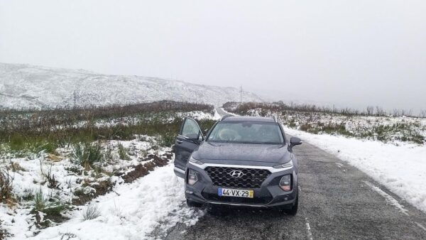 Private Tour Through Serra Da Estrela and Its Famous Cheese - The Sum Up
