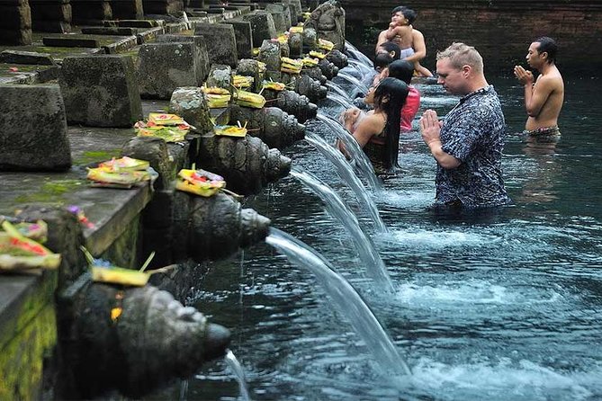 Private Tour: Tirta Empul, Tukad Cepung Waterfall & Penglipuran Village - Inclusions and Amenities