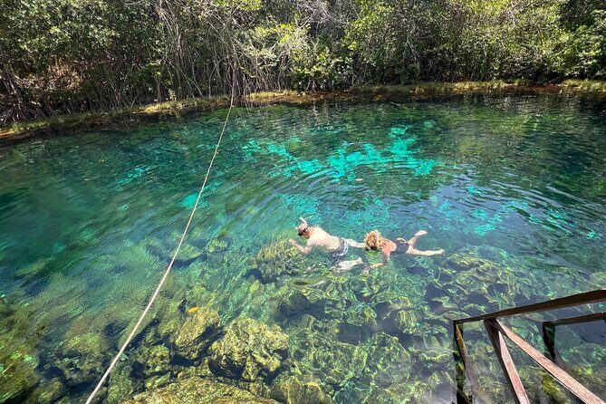 Private Tour to 4 Cenotes - Who Would Love This Tour?