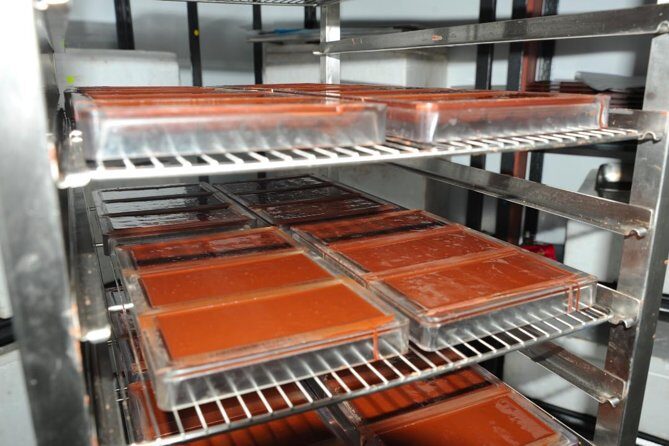 Private Tour to Aelan Chocolate Factory in Port Vila - What to Expect from Your Visit to Aelan Chocolate Factory