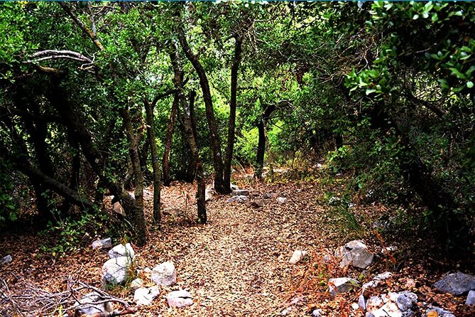 Private Tour to Ajloun From Dead Sea - Inclusions