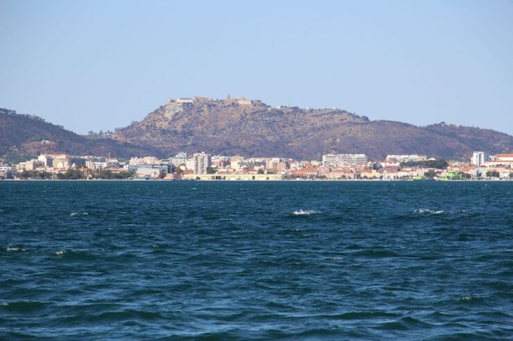 Private Tour to Alcácer, Comporta, Setúbal and Palmela - Tour Highlights