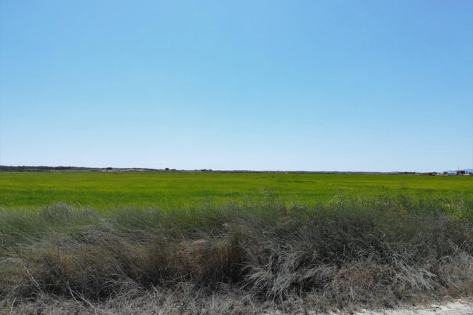 Private Tour to Alentejo Coast, Comporta Beach, Alcacer Do Sal and Setubal - Additional Information and Recommendations