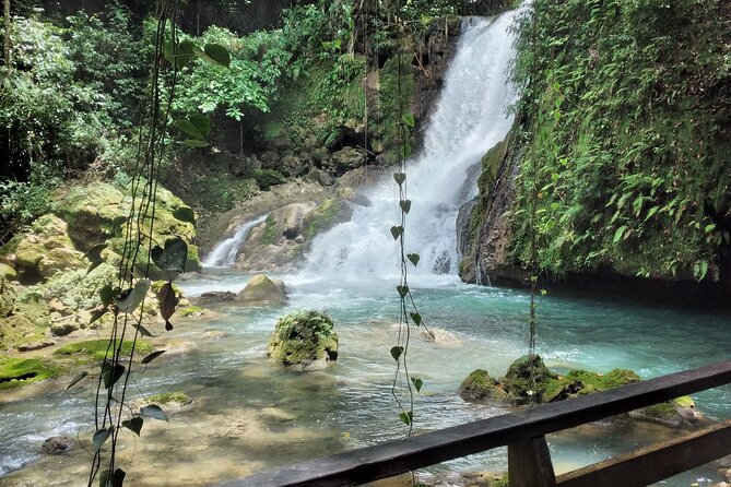 Private Tour to Appleton Estate and YS Falls From Montego Bay - General Details