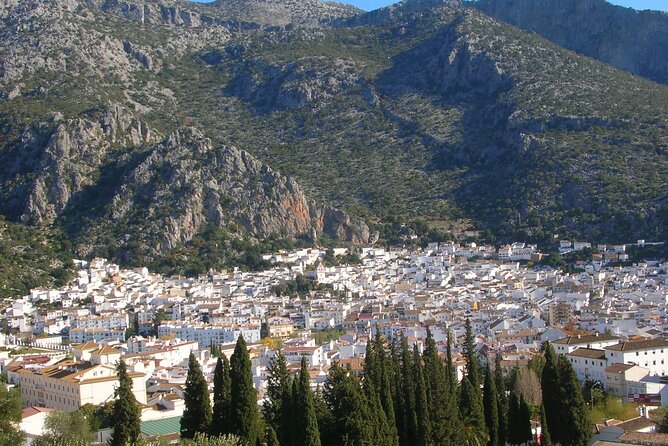Private Tour to Arcos De La Frontera, El Bosque, and Ubrique From Cadiz - Tour Pricing and Guarantee