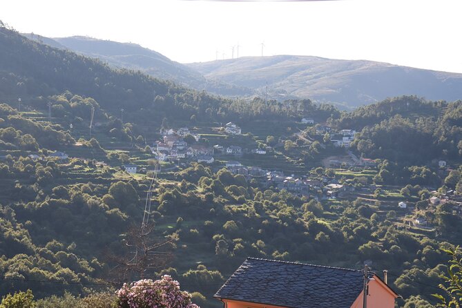 Private Tour to Arouca 516 Bridge and Passadiços Do Paiva - Pricing and Booking Details