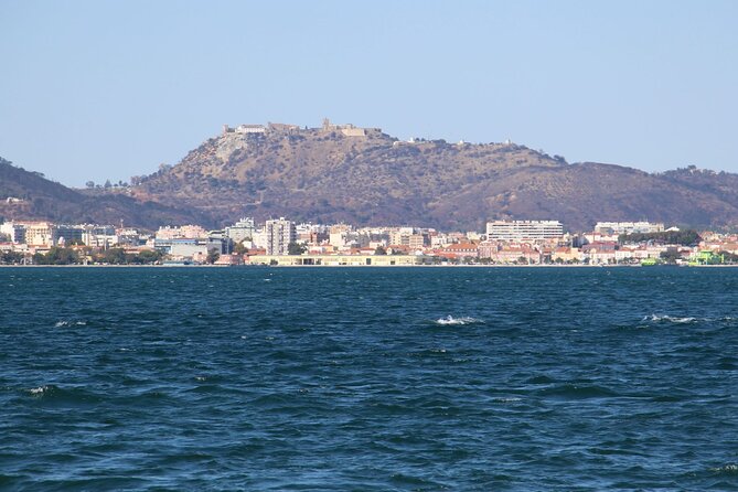 Private Tour to Arrábida, Cabo Espichel and Christ Statue - Tour Highlights