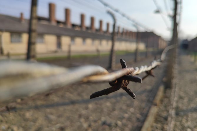 Private Tour to Auschwitz-Birkenau From Krakow - Good To Know