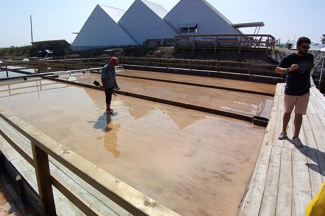 Private Tour to Aveiro and Costa Nova Unique Striped Houses - Overview of the Tour Itinerary