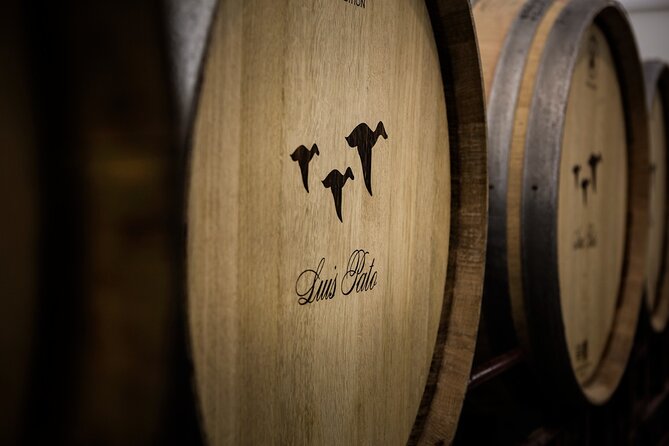 Private Tour to Aveiro, to the Sparkling Wine Cellars and Piglet Tasting - Tour Itinerary Highlights