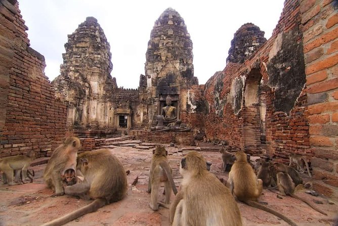 Private Tour to Ayutthaya and Lopburi Monkey Temple (From Bangkok) - Tour Details