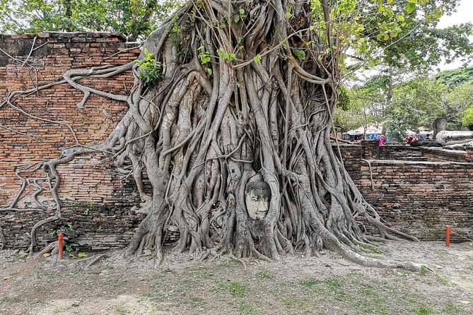 Private Tour to Ayutthaya and Lopburi Monkey Temple (From Bangkok) - Reviews
