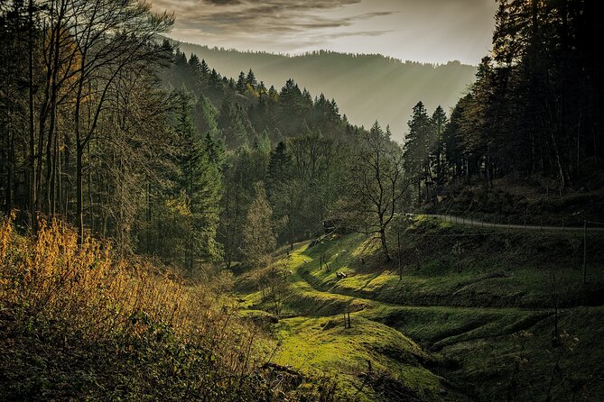 Private Tour to Baden-Baden, Black Forest and Strasbourg From Frankfurt - Booking and Reservations