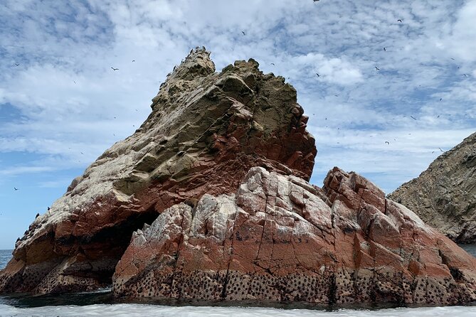 Private Tour to Ballestas Islands, Ica and Huacachina Including Sandboarding - Tour Details