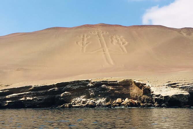 Private Tour to Ballestas Islands, Ica and Huacachina Including Sandboarding - Common Questions