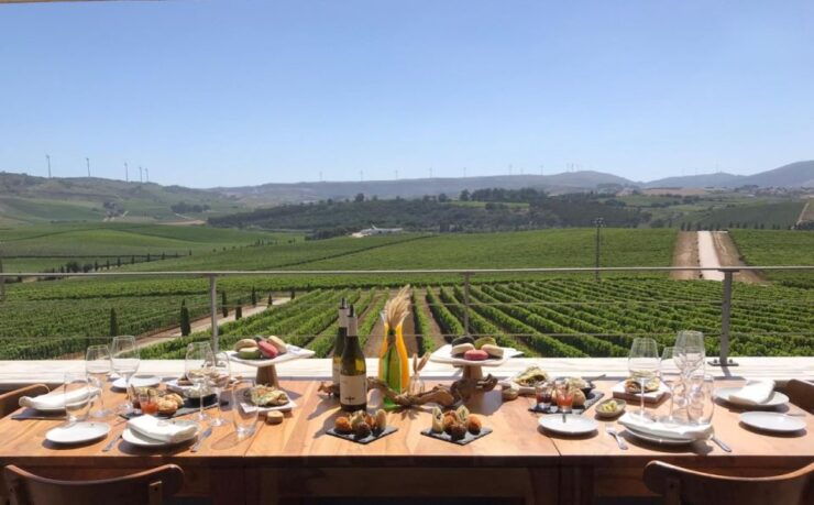 Private Tour to Batalha, Nazaré, Óbidos & Wine Tasting - Experience Highlights