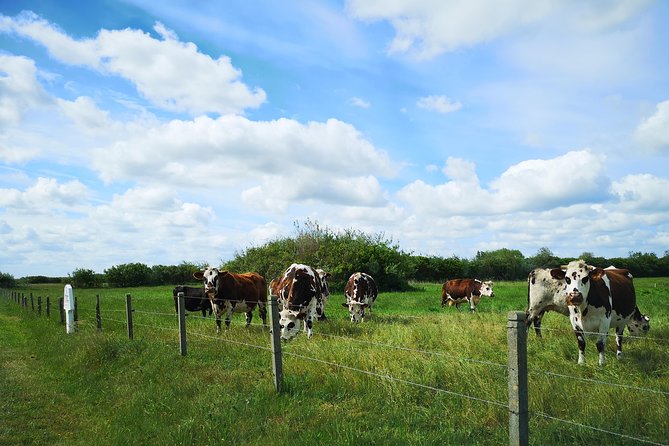 Private Tour to Bayeux, Honfleur and Pays D Auge From Caen - Indulging in the Delicacies of Pays Dauge