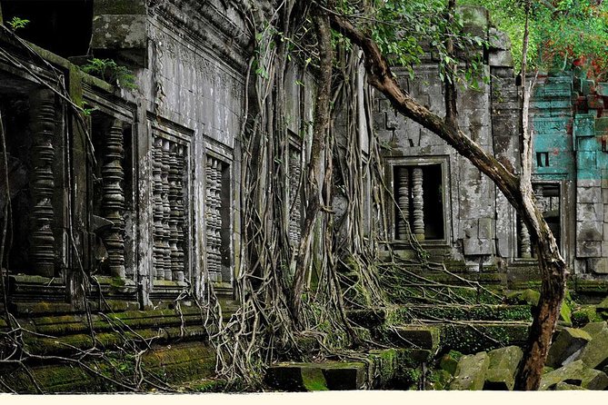 Private Tour to Beng Mealea, Banteay Srei and Floating Village - Customer Reviews