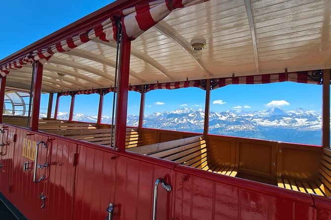 Private Tour to Bernese Alps With Steam Train and Lake Cruise - Lake Cruise Adventure