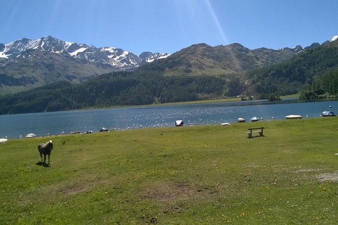 Private Tour to Bernina Train & Lake Como. Hotel Pick-Up - Guided Tour of St. Moritz