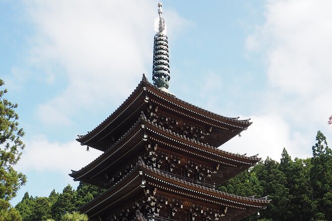 Private Tour to Big Buddha and Nebuta Museum With Licensed Guide - Visit to the Big Buddha