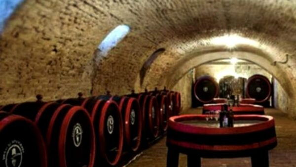 Private Tour To Bosnia And Hercegovina - Booking and Cancellation Policies