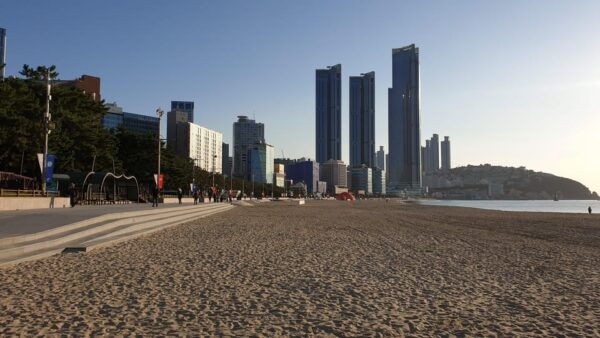 Private Tour to Busan, the Marseille of Korea - Customization Options