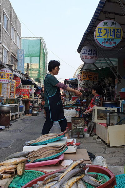 Private Tour to Busan, the Marseille of Korea - Travel Flexibility