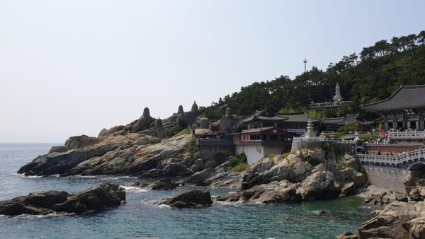 Private Tour to Busan, the Marseille of Korea - Experience Busan Like a Local