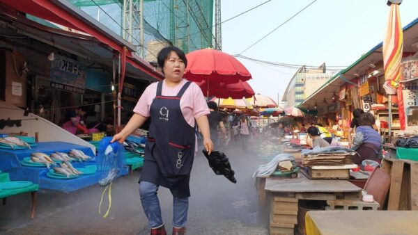 Private Tour to Busan, the Marseille of Korea - Questions You May Have