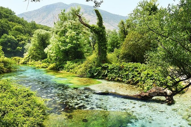 Private Tour to Butrint Antic City/Blue Eye Spring/Lekursi Castle - Tour Highlights