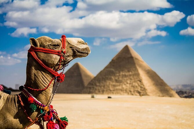 Private Tour to Cairo From Hurghada - Flexible Cancellation Policy