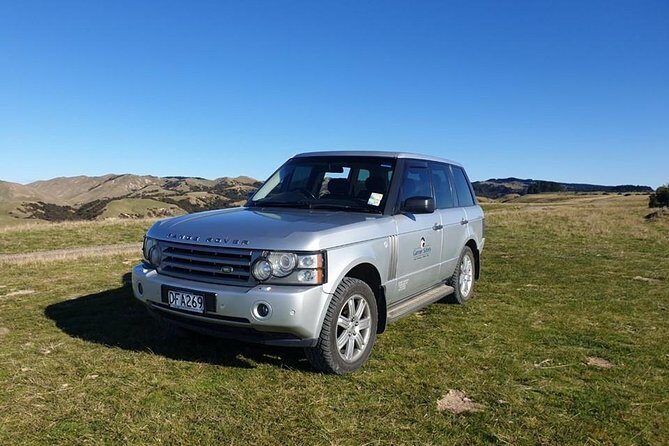 Private tour to Cape Kidnappers Gannet Colony - Good To Know